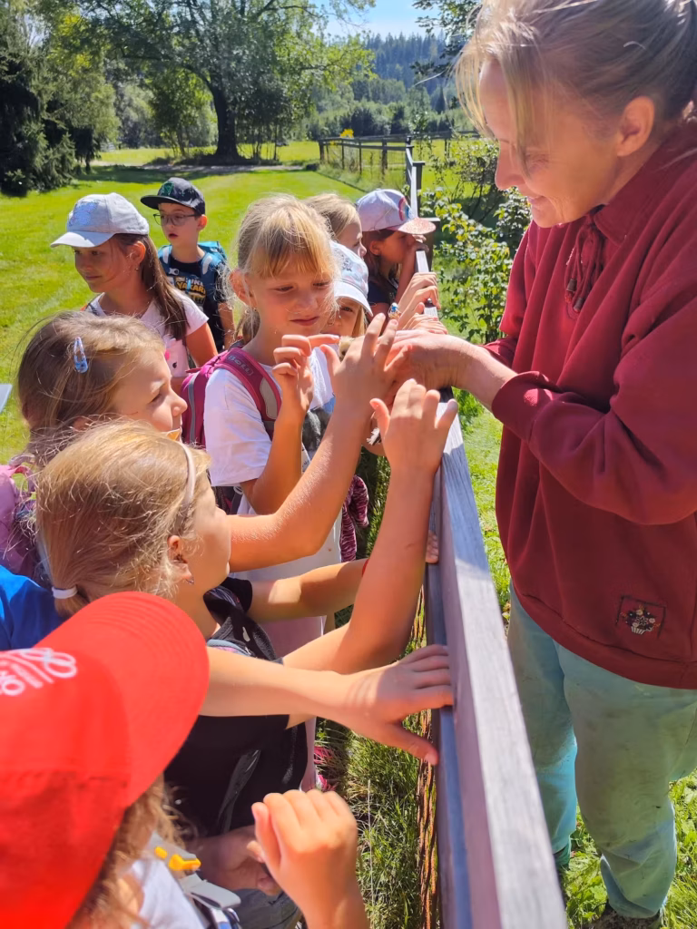 English camp 2026 – fotografie 95